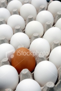 ist2_6323180-being-different-a-wild-egg-among-regular-eggs
